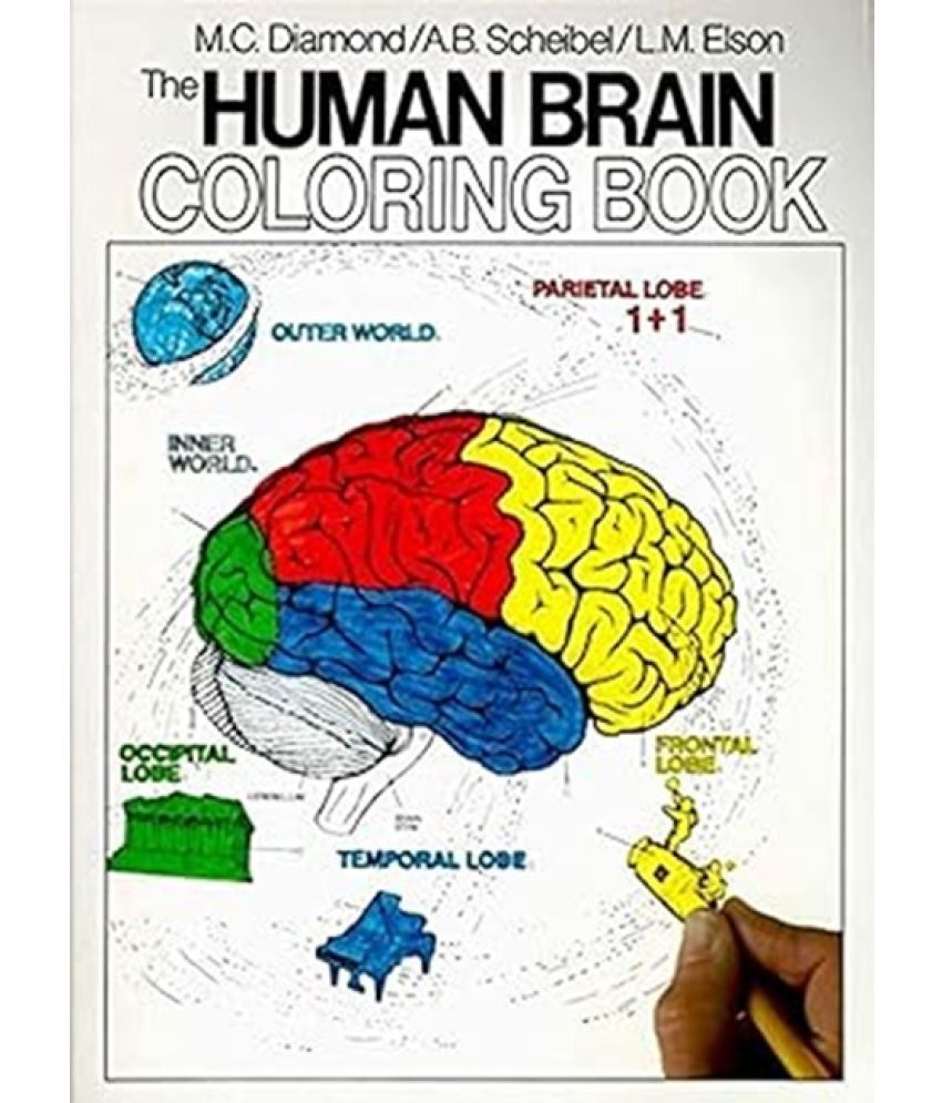     			HUMAN BRAIN COLORING BOOK