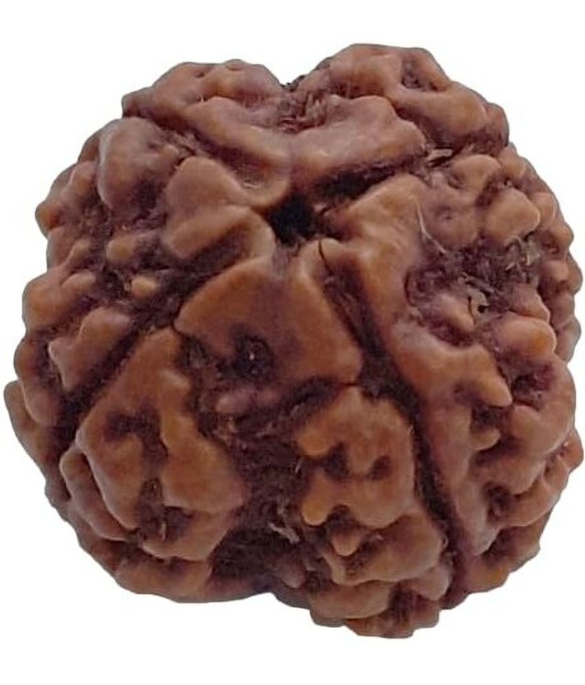     			YASH GEMS Rudraksha Bead ( Pack of 1 )