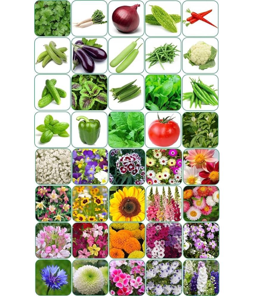     			40 variety vegetable & flower seeds combo pack. Mixed Flower ( 2500 Seeds )