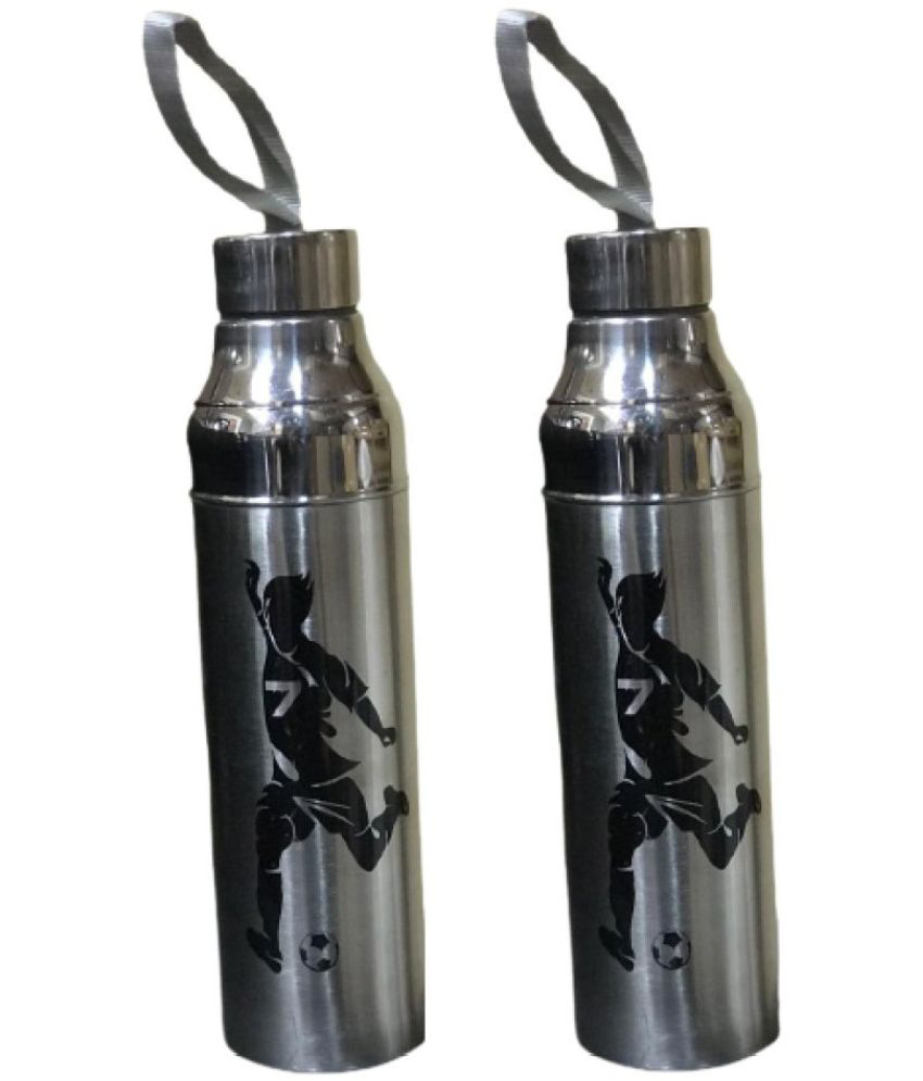     			Dynore Insulated Bottle Silver 700 mL Stainless Steel Water Bottle set of 2