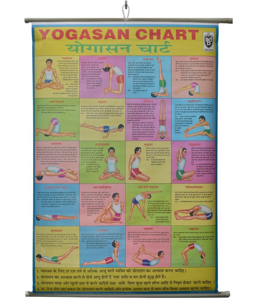     			Yogasan Wall Chart Laminated Wall Chart (Size 100X75 CM) Perfect for Homeschooling, Classroom and Students
