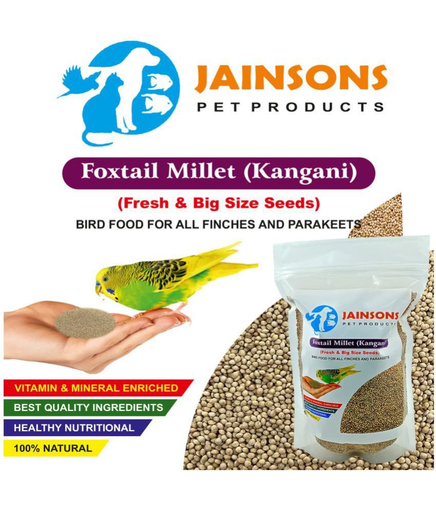Green Foxtail Millet (Kangani) Small Bird Food Useful for Indigo, Quail, Pheasants, Love Birds, Finches and Other (Green Foxtail Millet (Kangani) 5 kg)