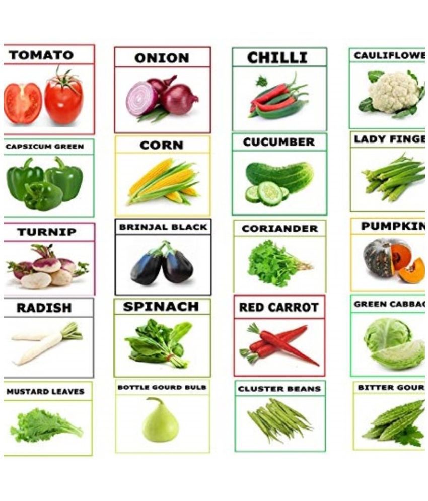     			20 Variety of Vegetable Seeds ( 1500 seeds) with Instruction Manual