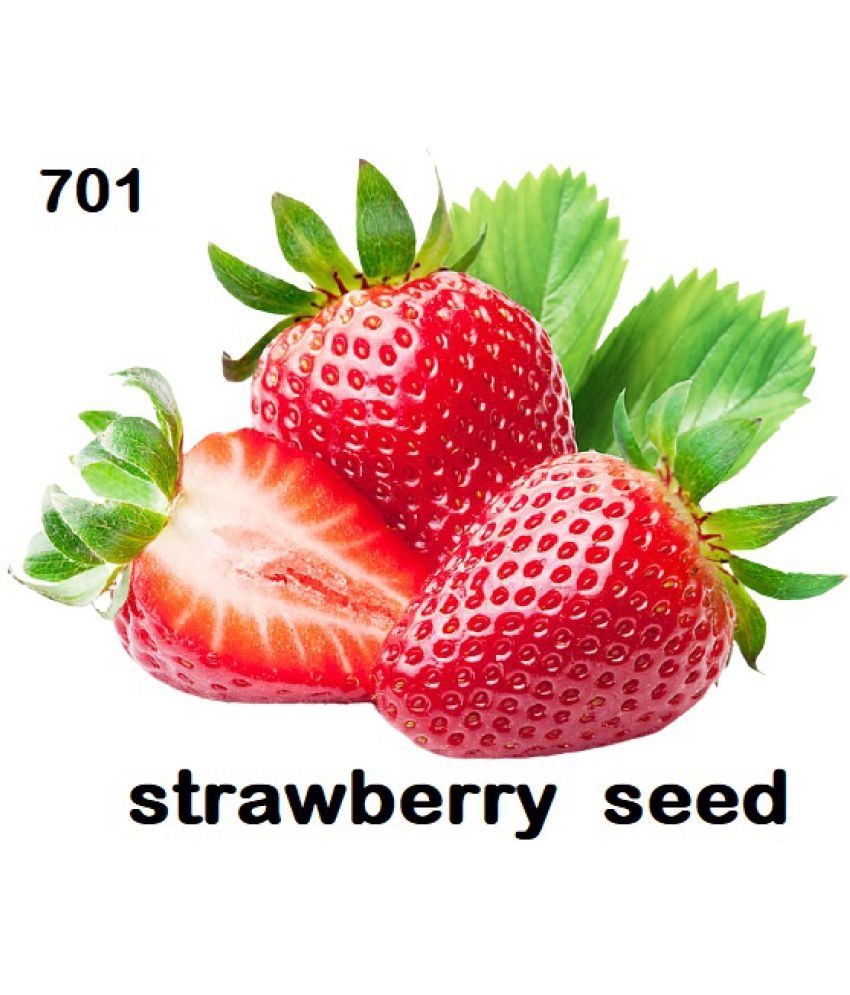     			Strawberry Alpine Fragaria Variety seed ( 20 Seeds)