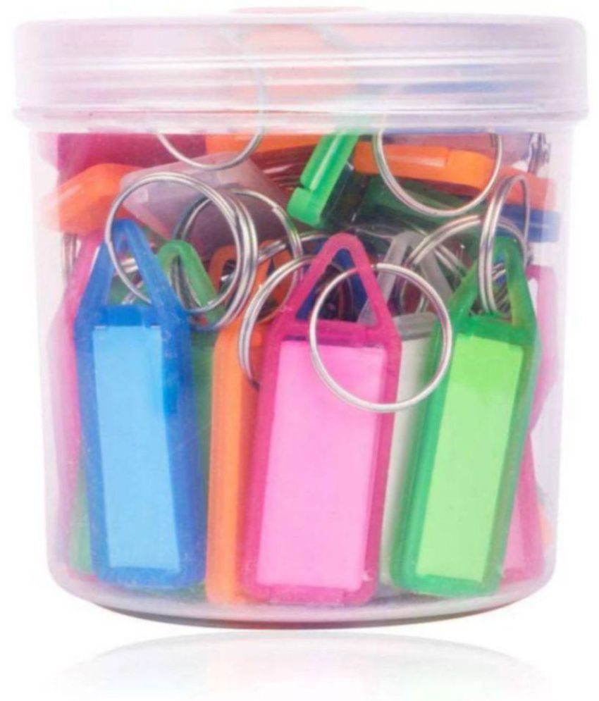     			FSN  Multicolored tag /label Plastic Key chain - Pack of 50