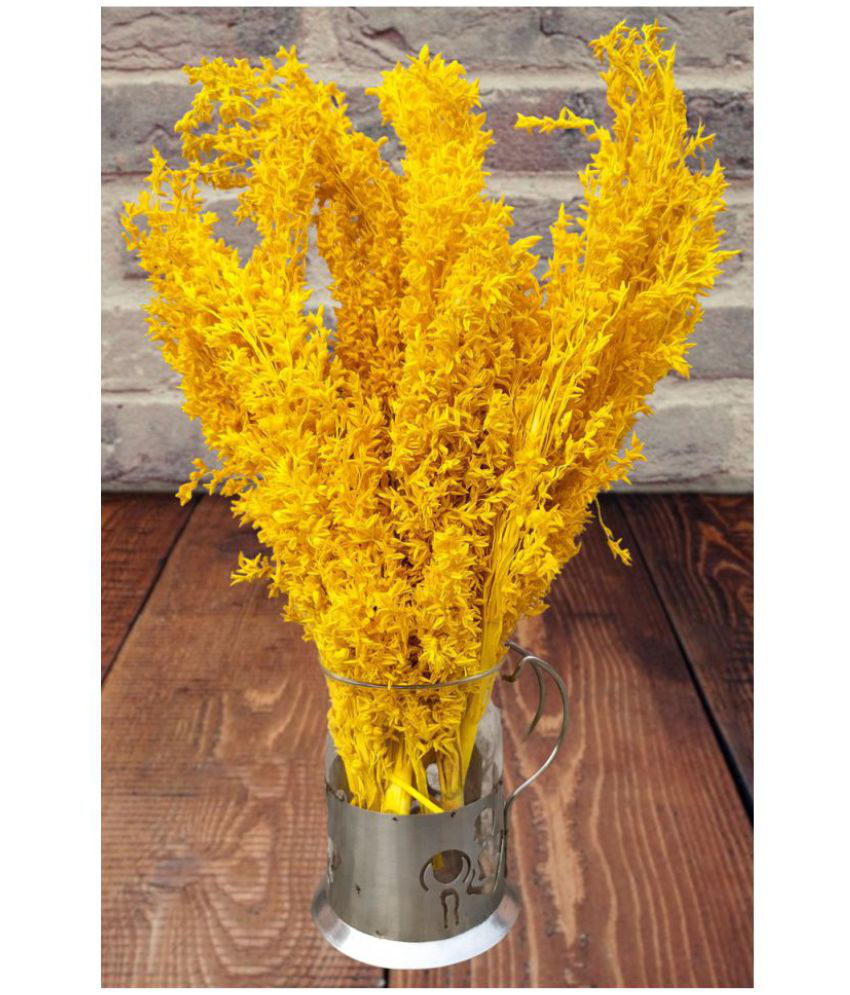     			Fab n Style Orchids Yellow Artificial Flowers Bunch - Pack of 1