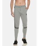 Dollar Grey Cotton Solid Joggers Single