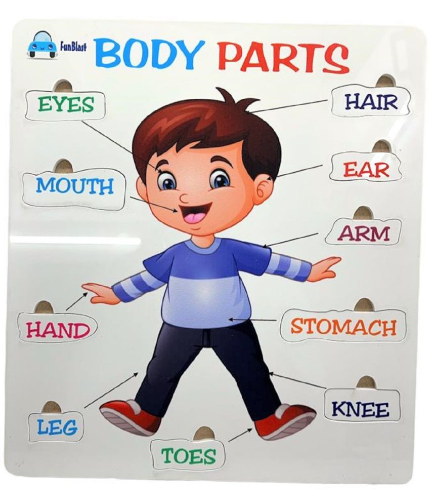 FunBlast Body Parts Puzzle For Kids Body Parts Toys Educational Toys 