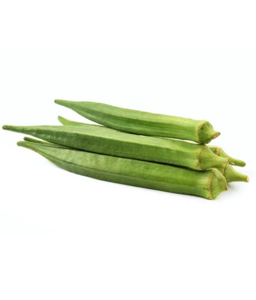     			bhindi Green pack of 50 seeds