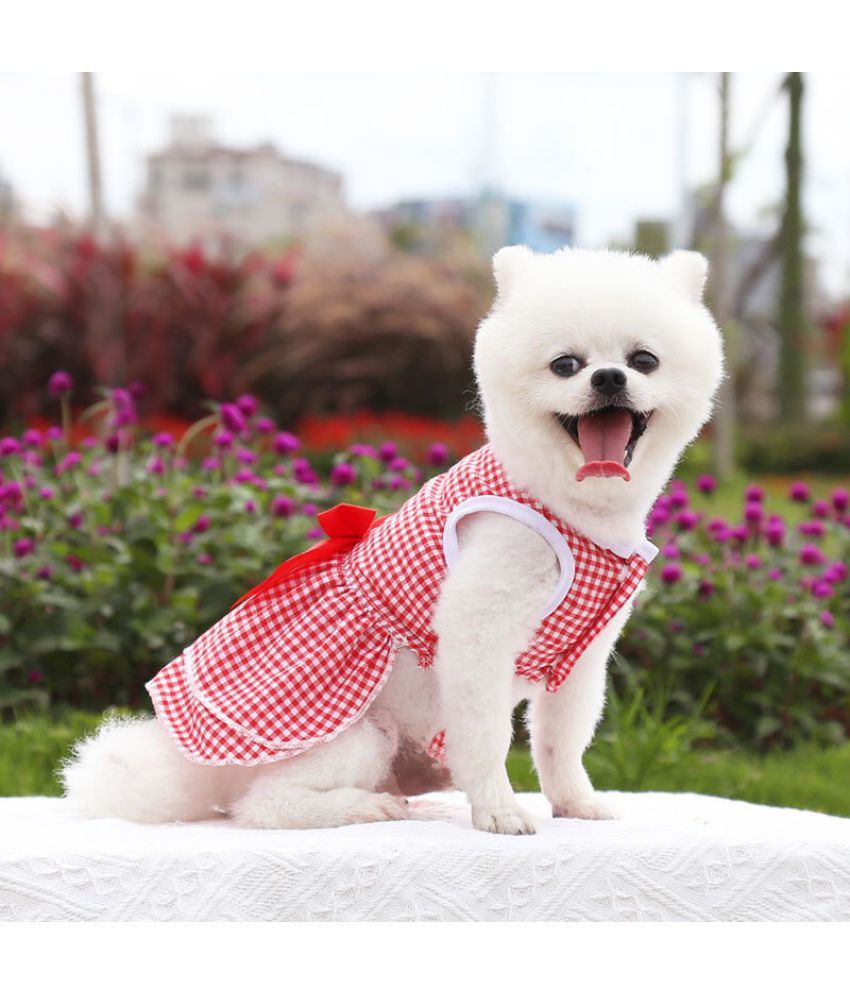 female small dog clothes