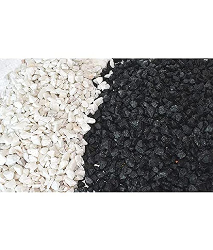 vannef white sneakers