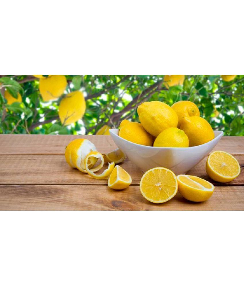     			Yellow Lemon Fruit Seeds Pack of 20