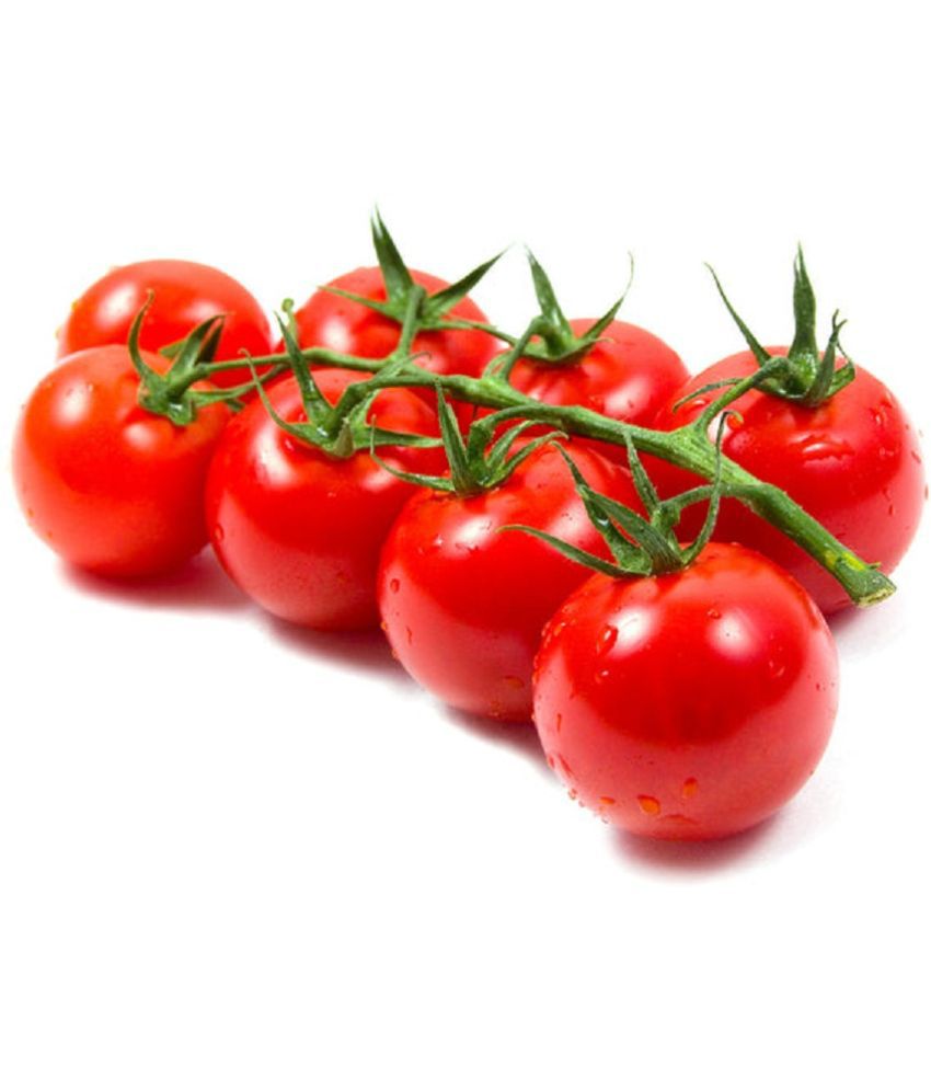     			Organic Cherry Tomatoes Garden pack of 50 seeds