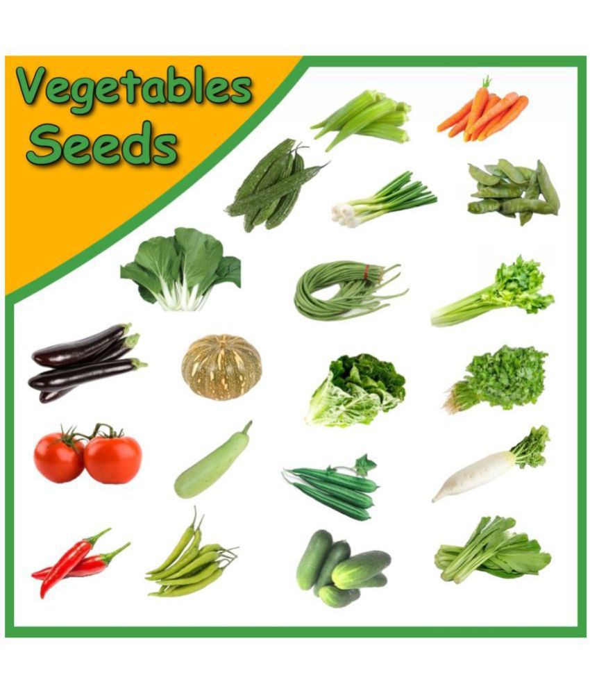     			20 Variety of Vegetable Seeds ( 2000 seeds) with Instruction Manual