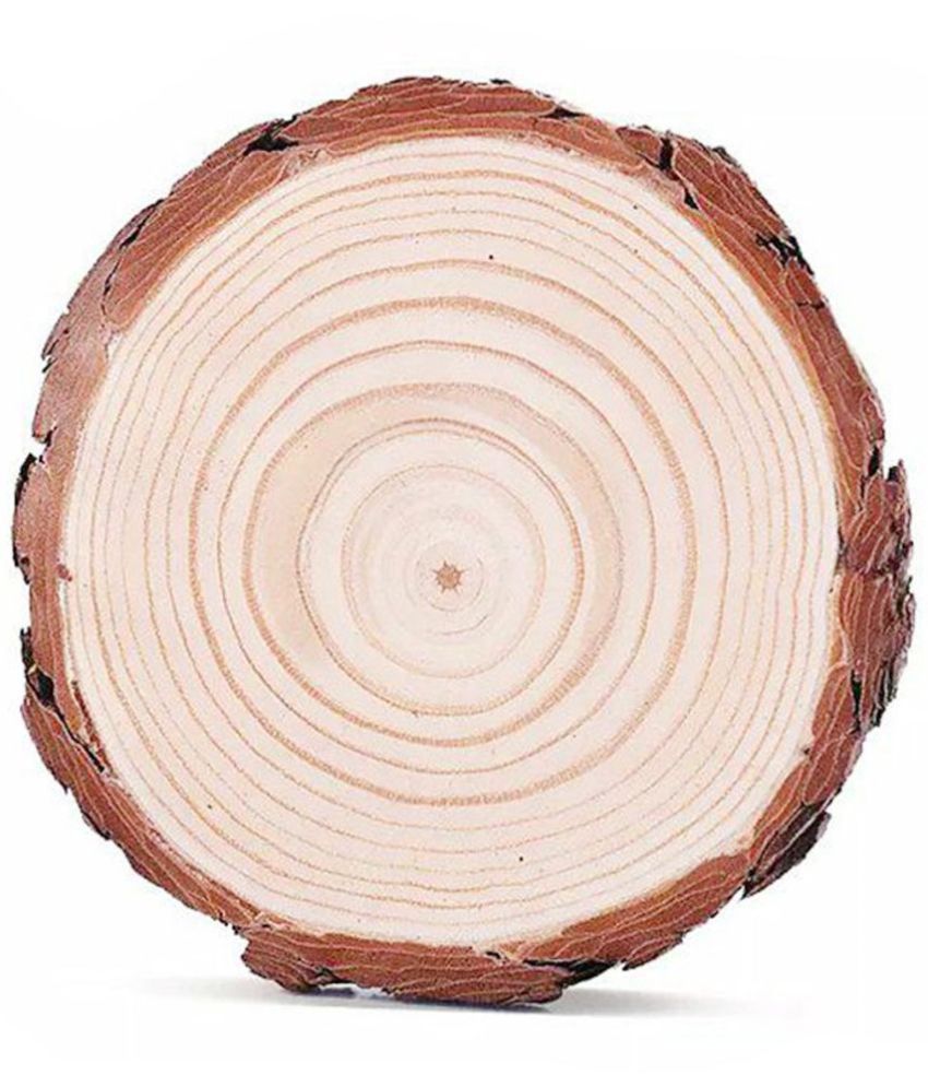     			PRANSUNITA Big Size Natural Unfinished Wood Slice 6.5 inch, Round Wood Discs Tree Bark Wooden Circles for DIY Crafting Coasters Arts Crafts Home Decorations Vintage Wedding Ornaments