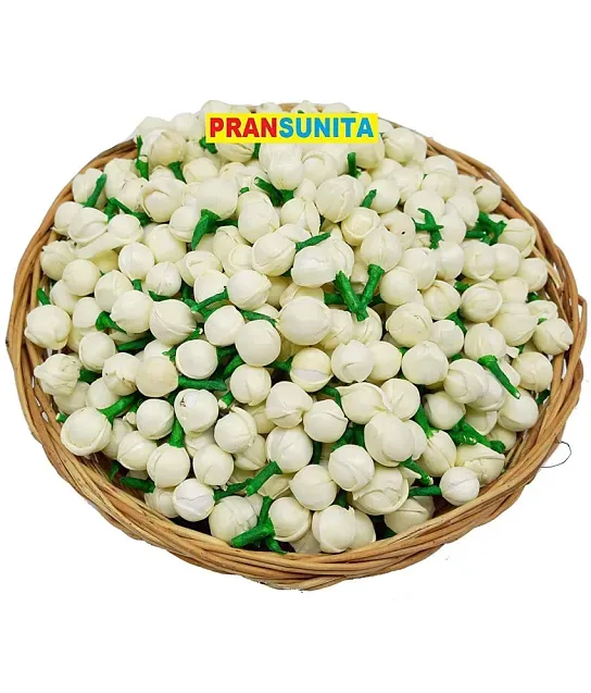 PRANSUNITA 1 Pcs Craft Styrofoam White Smooth Balls for DIY Crafts & Solar  System Models - 1 Pcs Craft Styrofoam White Smooth Balls for DIY Crafts &  Solar System Models . shop