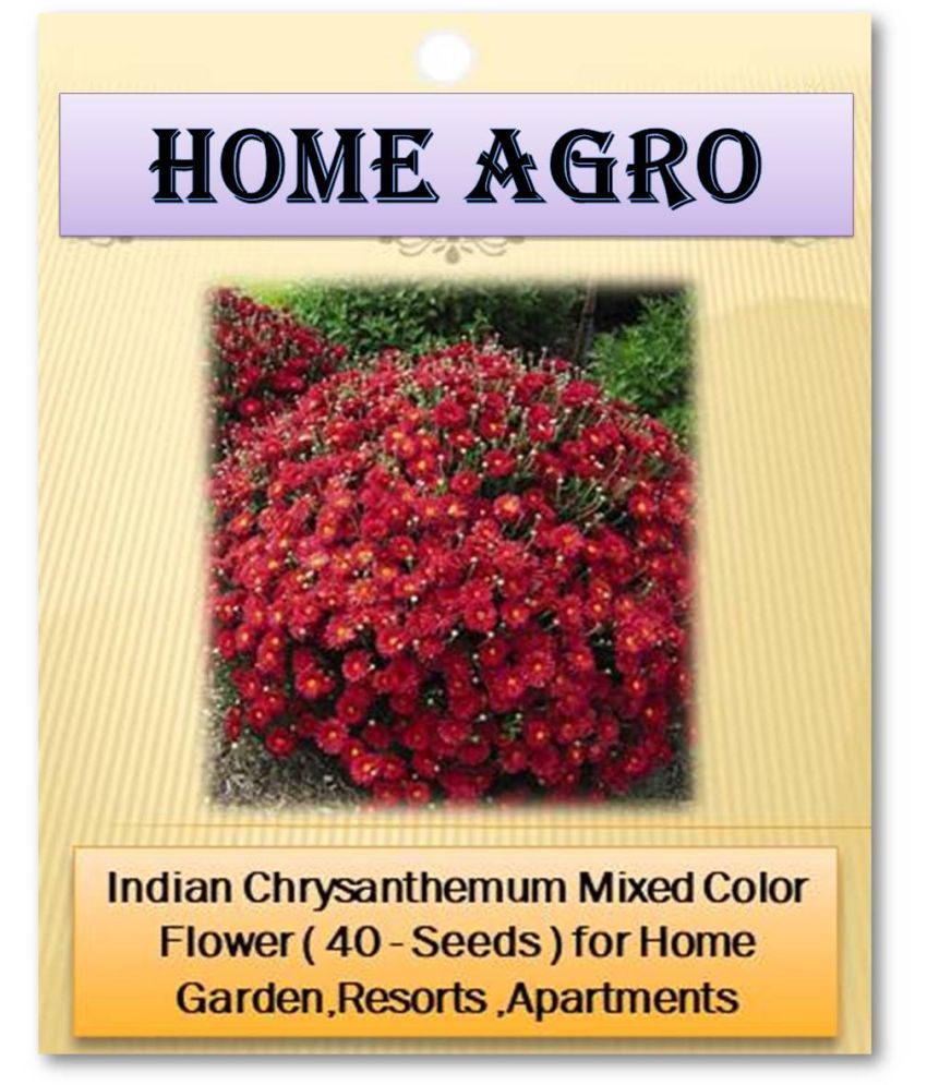     			HN organic seed - Flower Seeds ( 40 )