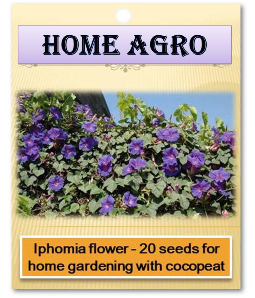     			HN organic seed - Flower Seeds ( 20 )