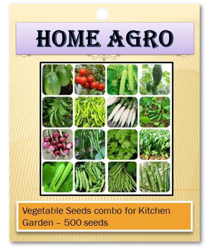     			HN organic seed - Vegetable Seeds ( 500 )