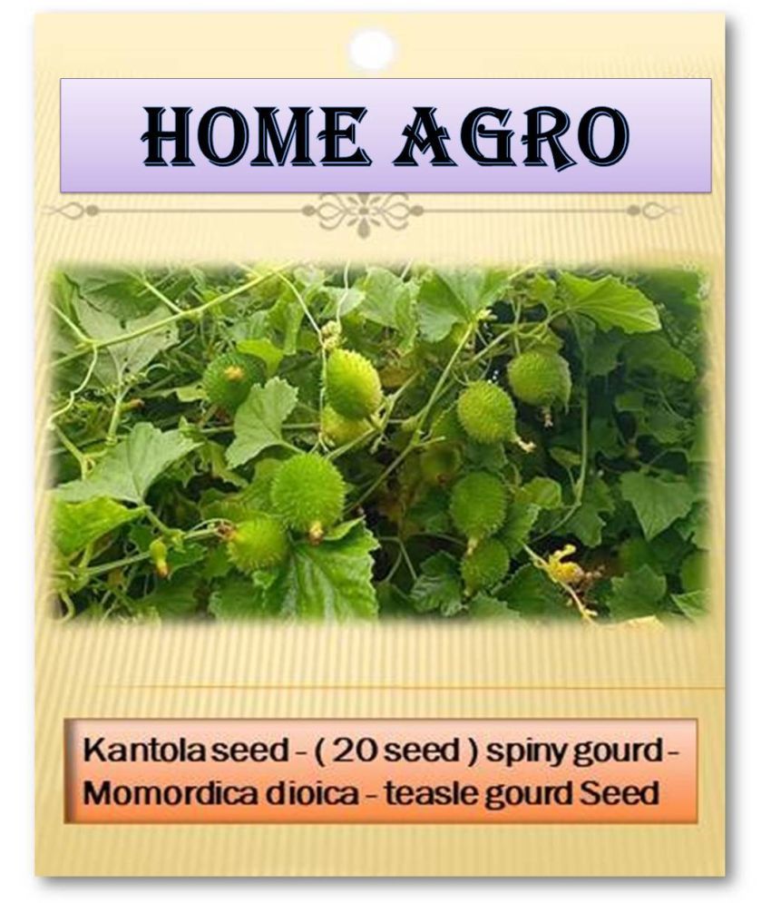     			HN organic seed - Vegetable Seeds ( 20 )