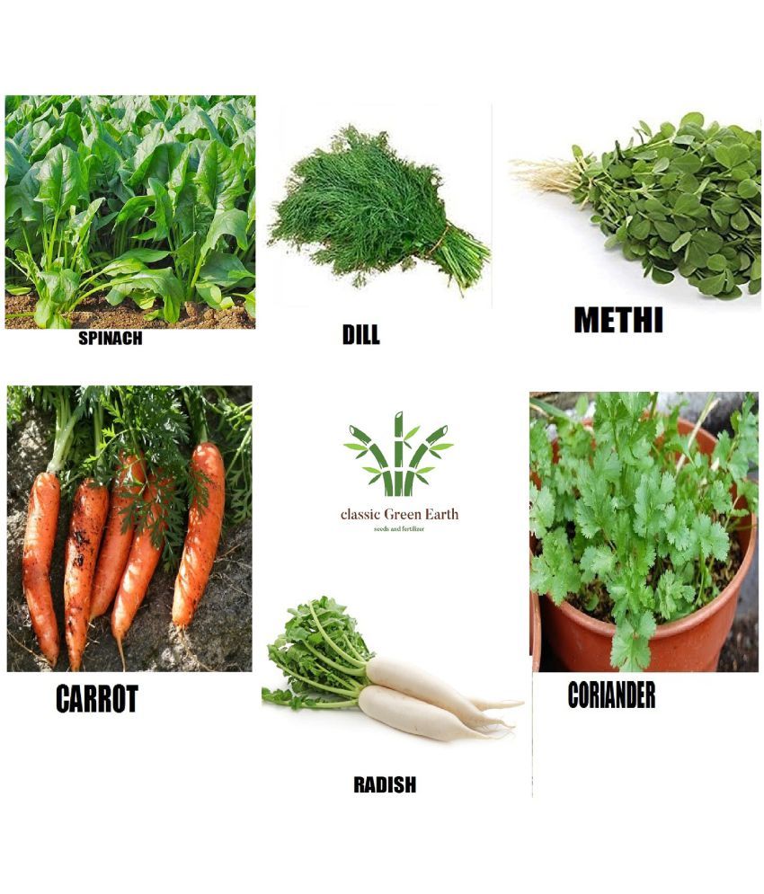     			CLASSIC GREEN EARTH - Vegetable Seeds ( combo 6 seeds 500palak dill methi carrot methi )