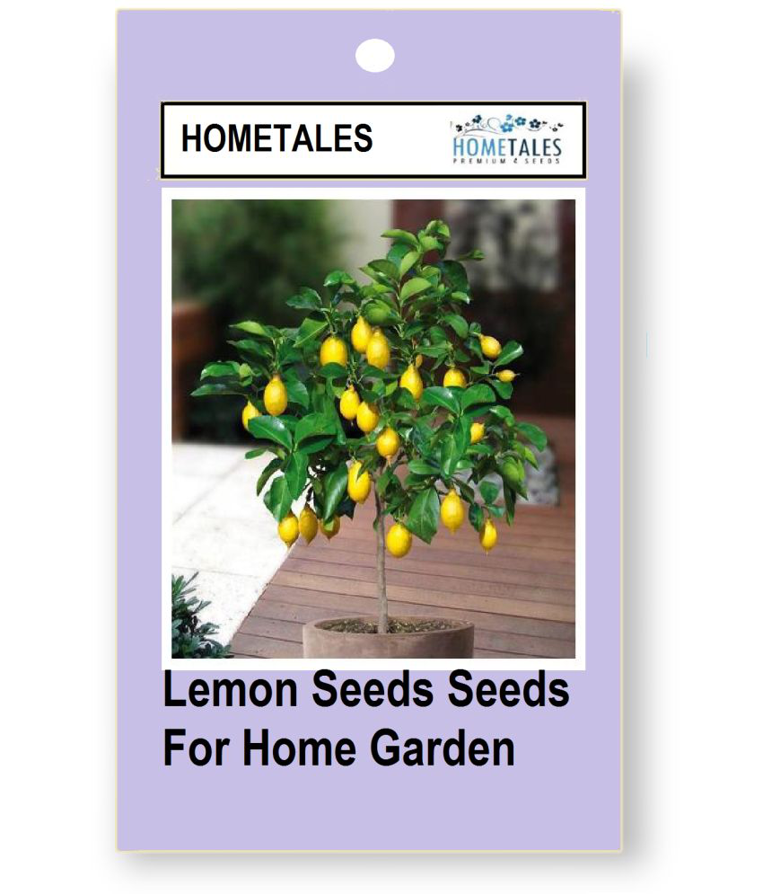 HOMETALES - Vegetable Seeds ( Golden Hills Farm Lemon 20 Seeds For Home Garden )