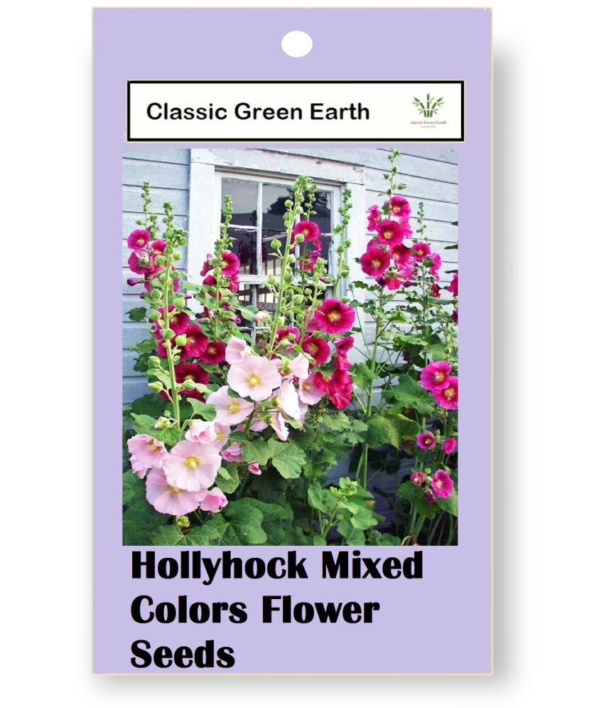     			CLASSIC GREEN EARTH - Flower Seeds ( Hollyhock Mixed Colors Flower 50 Seeds )