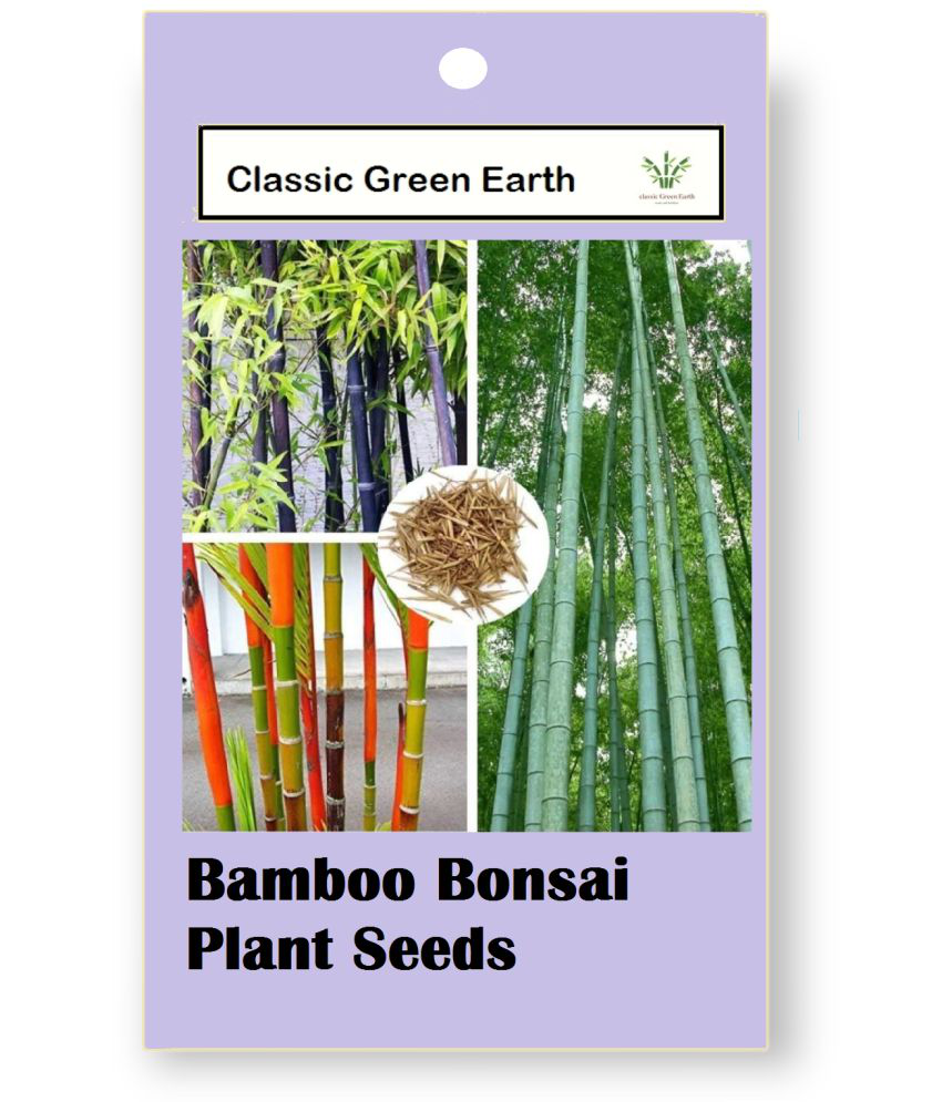     			CLASSIC GREEN EARTH - Grass Seeds ( Bamboo Bonsai Plant Seeds 40 )