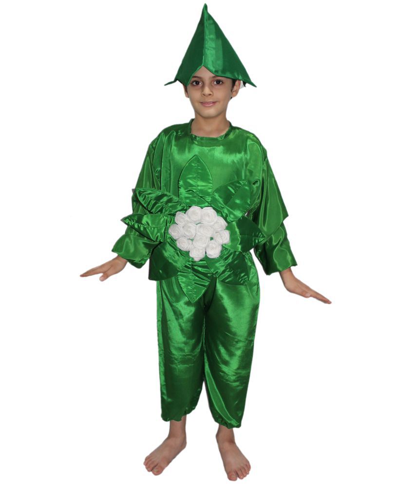     			Kaku Fancy Dresses Cauliflower Vegetables Costume -Green & White, 5-6 Years, for Boys & Girls