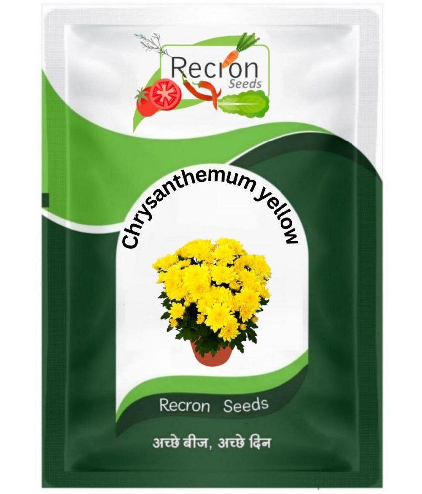 Recron Seeds Chrysanthemum Flower ( 30 Seeds ) Buy Recron Seeds