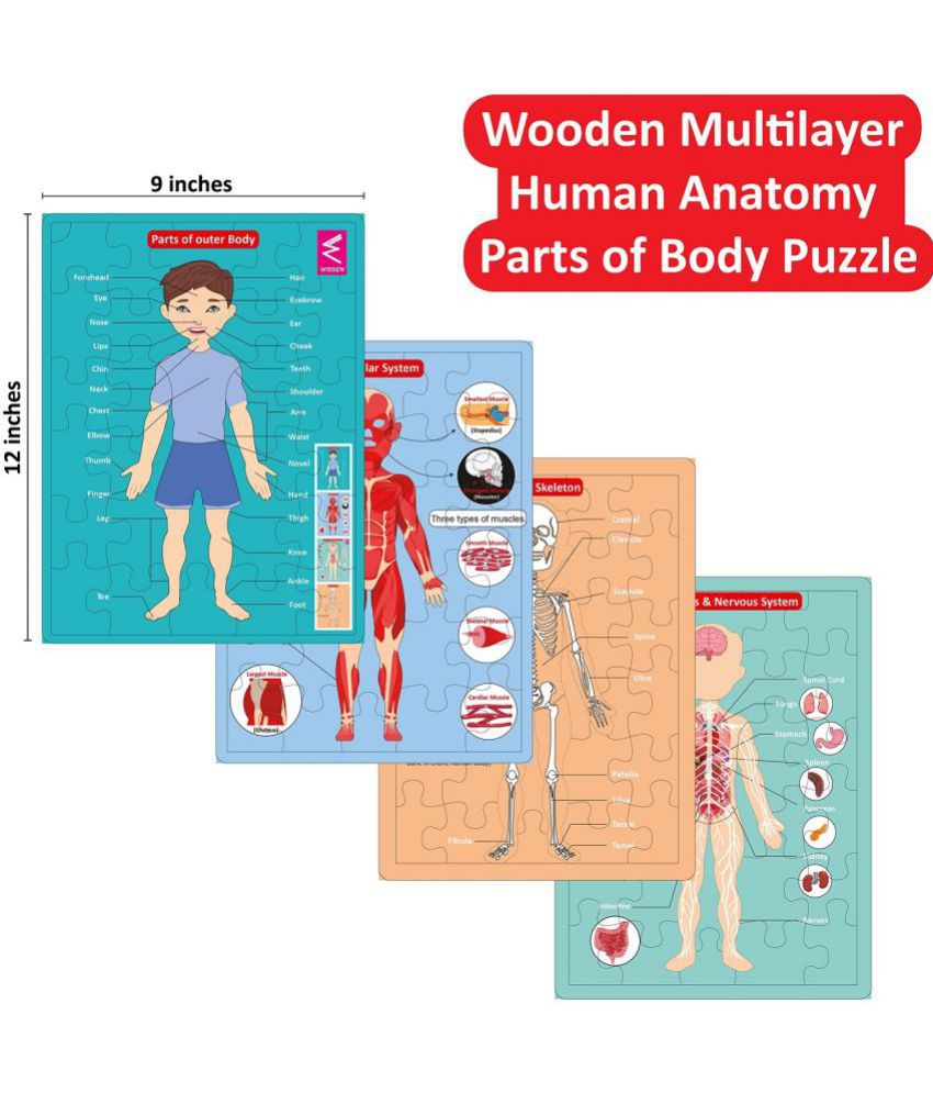     			WISSEN Wooden Human Body Parts Puzzle Games and Learning Educational Board for Kids, Wooden Puzzle for Creative Kids Anatomy Puzzle