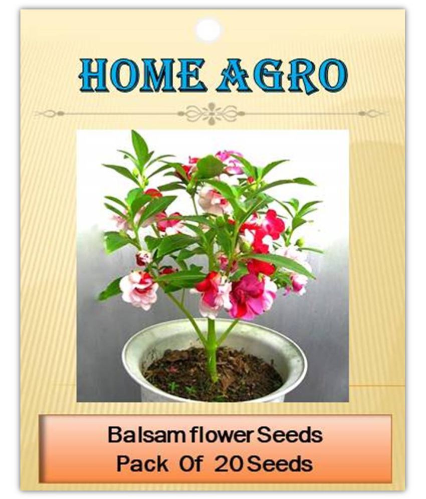     			homeagro - Balsam Mixed Flower ( 20 Seeds )