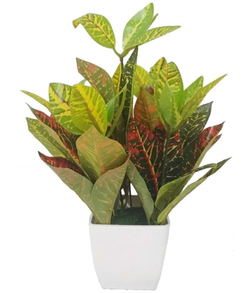     			BAARIG - Multicolor Evergreen Artificial Plants Bunch ( Pack of 1 )