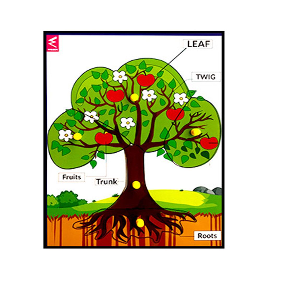     			WISSEN Wooden Tree Parts Learning Puzzle Peg Board Best for kids Learning Aid & Educational Toy
