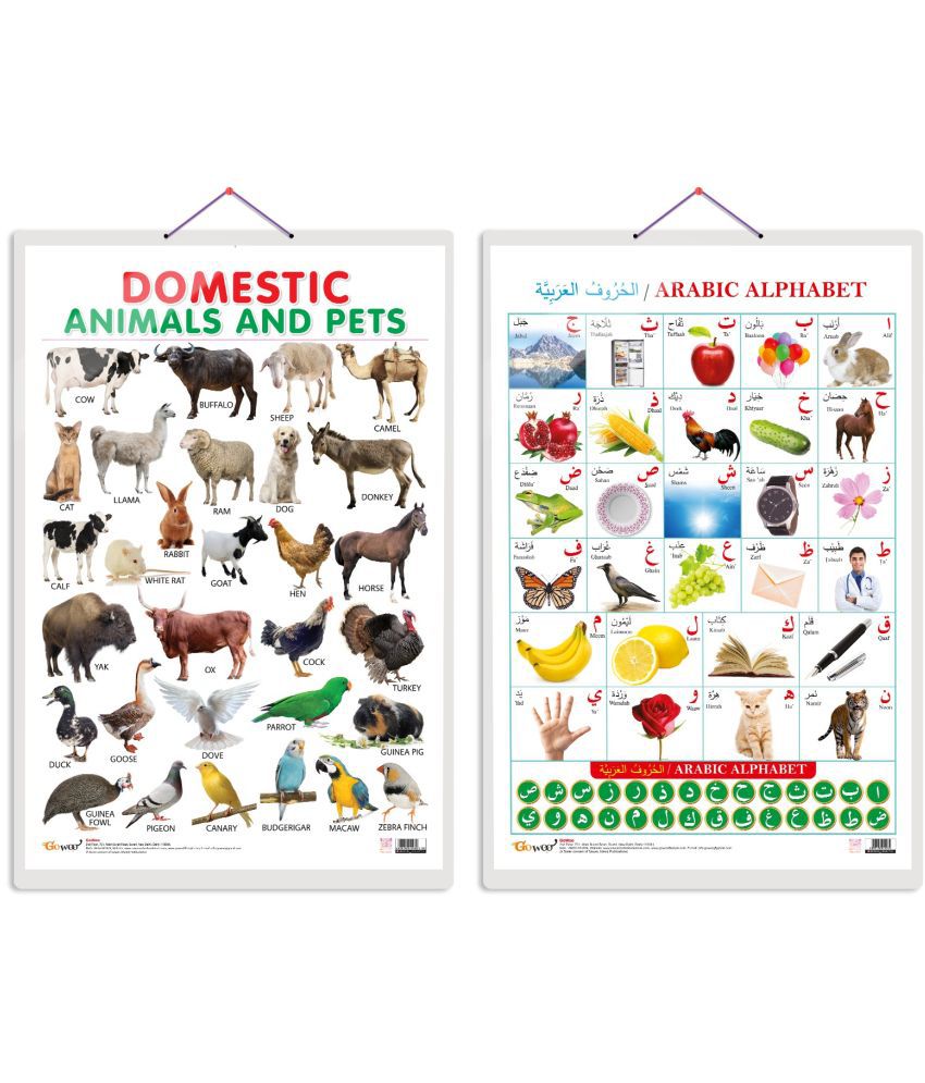     			Set of 2 Domestic Animals and Pets and Arabic Alphabet (Arabic) Early Learning Educational Charts for Kids | 20"X30" inch |Non-Tearable and Waterproof | Double Sided Laminated | Perfect for Homeschooling, Kindergarten and Nursery Students