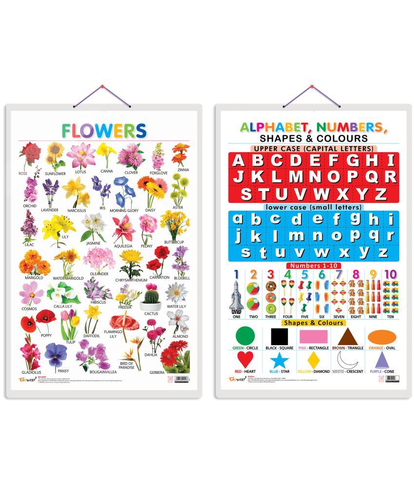     			Set of 2 Flowers and Alphabet, Numbers, Shapes & Colours Early Learning Educational Charts for Kids | 20"X30" inch |Non-Tearable and Waterproof | Double Sided Laminated | Perfect for Homeschooling, Kindergarten and Nursery Students
