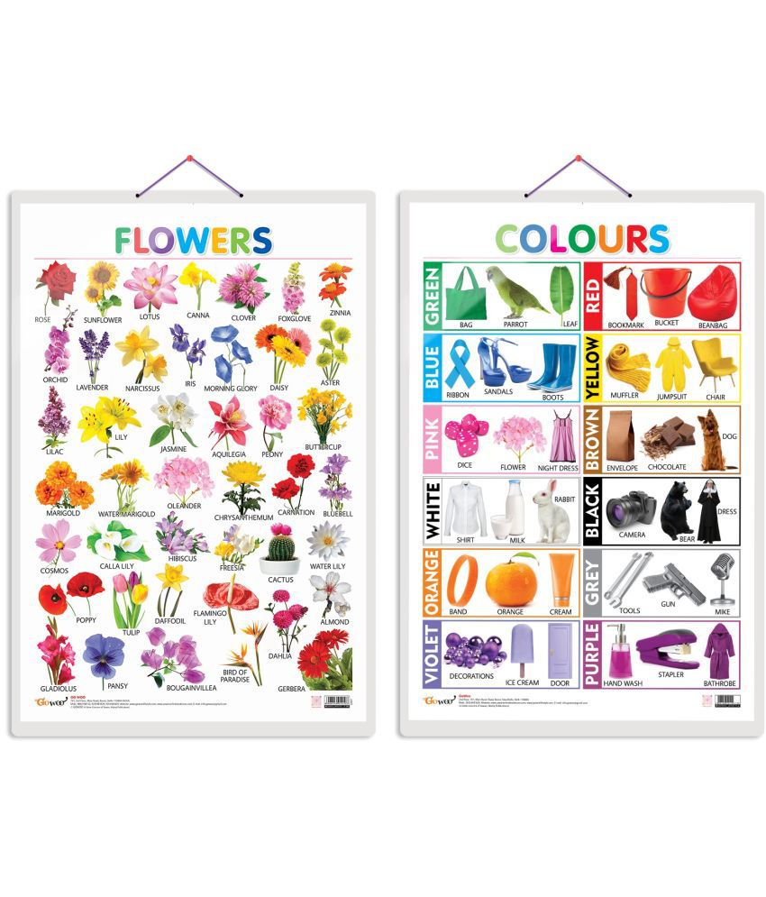     			Set of 2 Flowers and Colours Early Learning Educational Charts for Kids | 20"X30" inch |Non-Tearable and Waterproof | Double Sided Laminated | Perfect for Homeschooling, Kindergarten and Nursery Students