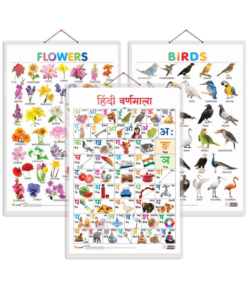     			Set of 3 Birds, Flowers and Hindi Varnamala Early Learning Educational Charts for Kids | 20"X30" inch |Non-Tearable and Waterproof | Double Sided Laminated | Perfect for Homeschooling, Kindergarten and Nursery Students