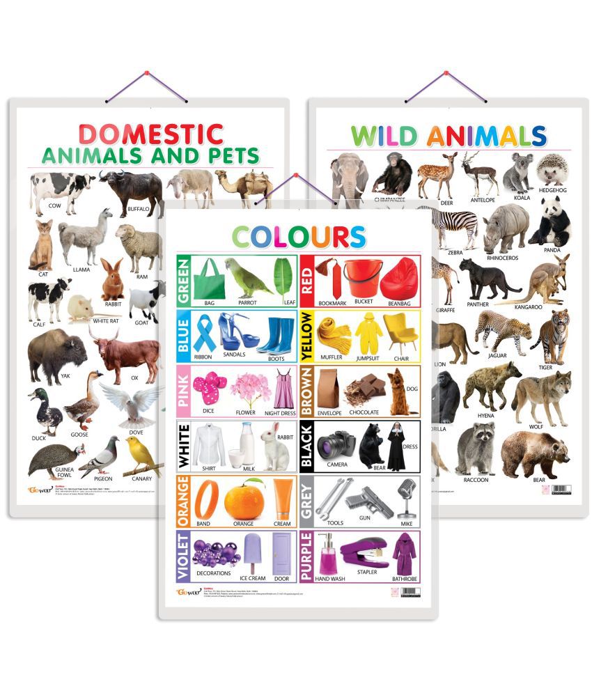     			Set of 3 Domestic Animals and Pets, Wild Animals and Colours Early Learning Educational Charts for Kids | 20"X30" inch |Non-Tearable and Waterproof | Double Sided Laminated | Perfect for Homeschooling, Kindergarten and Nursery Students