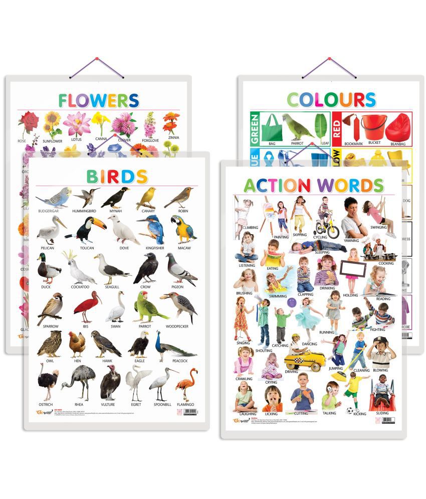    			Set of 4 Birds, Flowers, Colours and Action Words Early Learning Educational Charts for Kids | 20"X30" inch |Non-Tearable and Waterproof | Double Sided Laminated | Perfect for Homeschooling, Kindergarten and Nursery Students