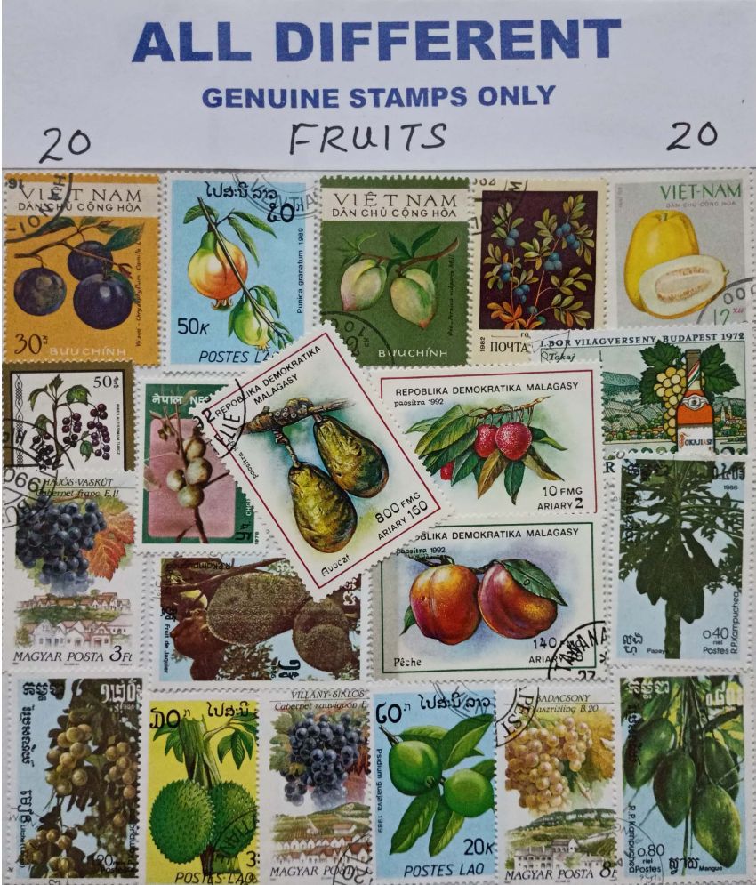     			Hop n Shop - Collection of Different Fruits Theme 20 Stamps