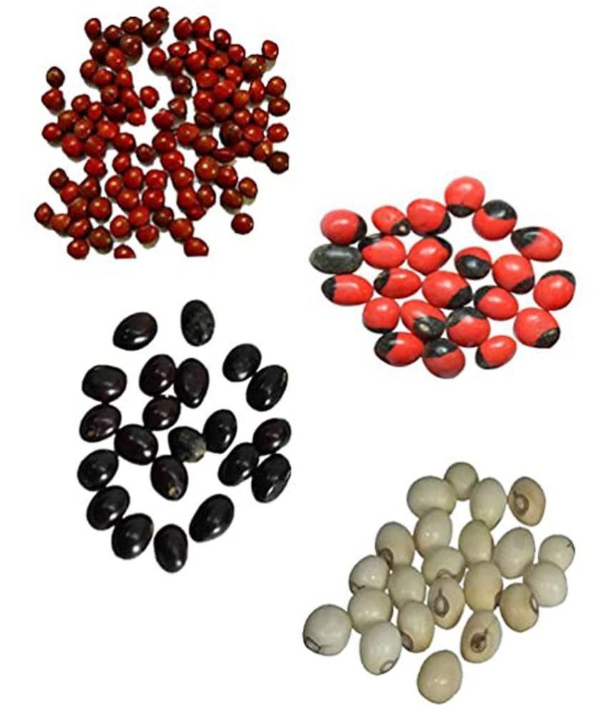     			Padmavathi Enterprises - Chirmi Beads Gunja 10 gm ( Pack of 4 )
