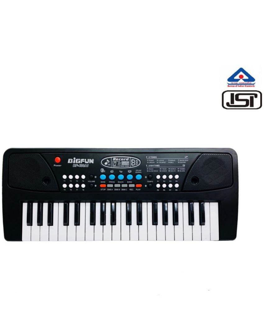     			TOY KINGDOM Portable Electronic Piano Keyboards For Kids & Adult with Microphone Musical Toys