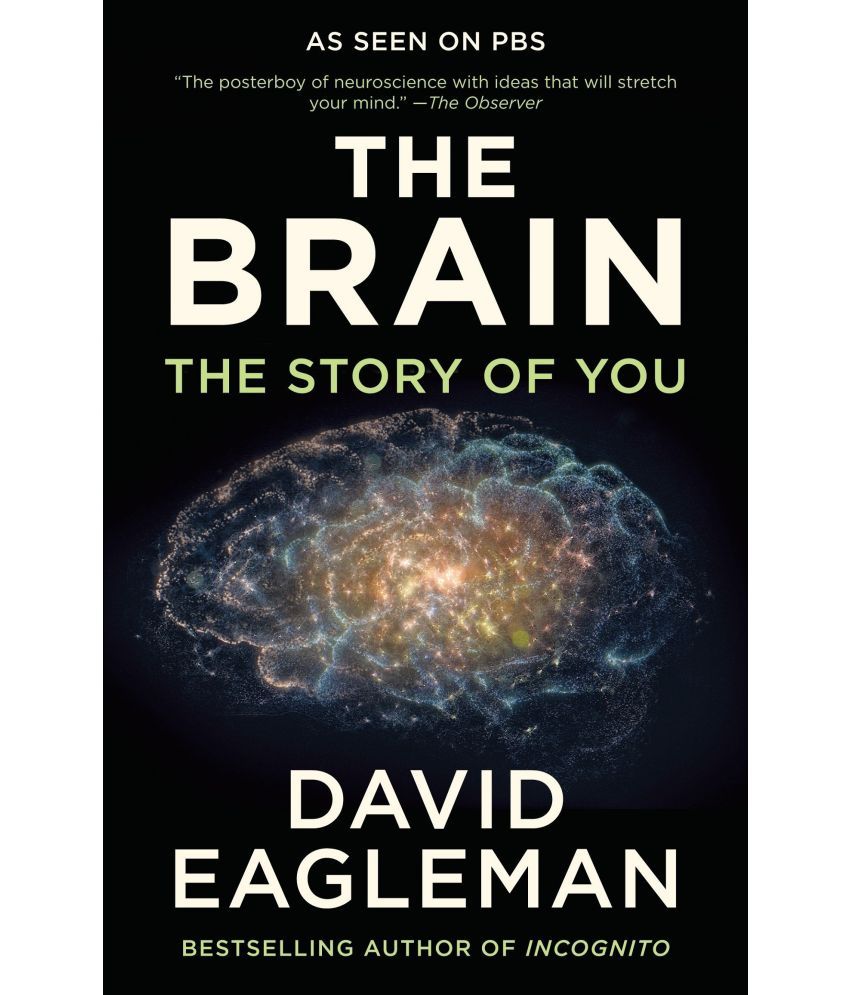     			The Brain: The Story of You Paperback – Illustrated, 7 March 2017