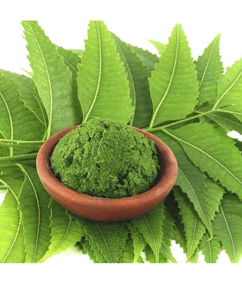     			MYGODGIFT  Neem Patta Powder - Azadirachta Indica - Neem Leaves  100 gm