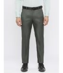 Solemio Green Slim Formal Trouser ( Pack of 1 )