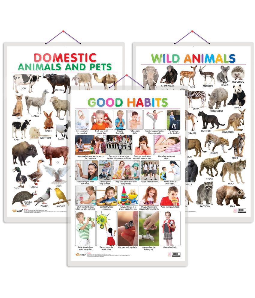     			Set of 3 Domestic Animals and Pets, Wild Animals and Good Habits Early Learning Educational Charts for Kids | 20"X30" inch |Non-Tearable and Waterproof | Double Sided Laminated | Perfect for Homeschooling, Kindergarten and Nursery Students
