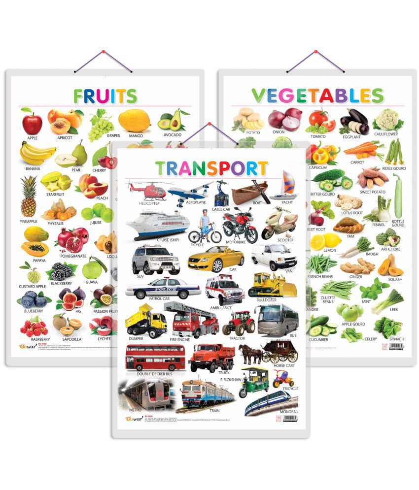     			Set of 3 Fruits, Vegetables and Transport Early Learning Educational Charts for Kids | 20"X30" inch |Non-Tearable and Waterproof | Double Sided Laminated | Perfect for Homeschooling, Kindergarten and Nursery Students