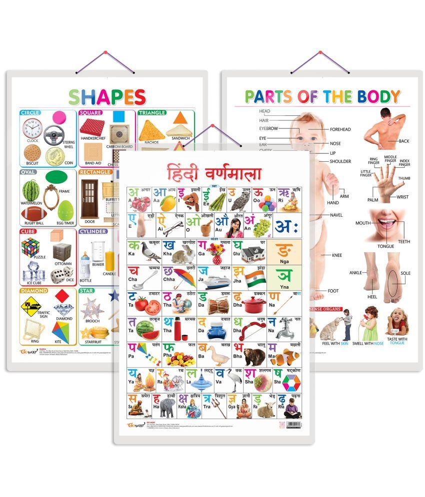     			Set of 3 Shapes, Parts of the Body and Hindi Varnamala Chart for Kids | 20"X30" inch |Non-Tearable and Waterproof | Double Sided Laminated | Perfect for Homeschooling, Kindergarten and Nursery Students