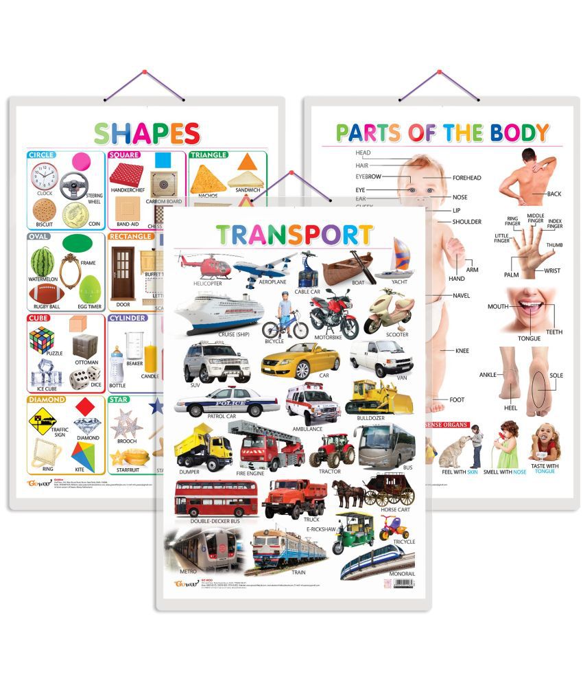     			Set of 3 Shapes, Parts of the Body and Transport Chart for Kids | 20"X30" inch |Non-Tearable and Waterproof | Double Sided Laminated | Perfect for Homeschooling, Kindergarten and Nursery Students